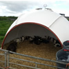 Fibreglass Hutches Better for Animal Welfare