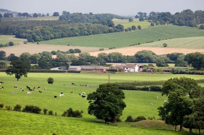 View Of Gilcar Farm